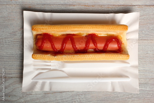Hot Dog with Ketchup