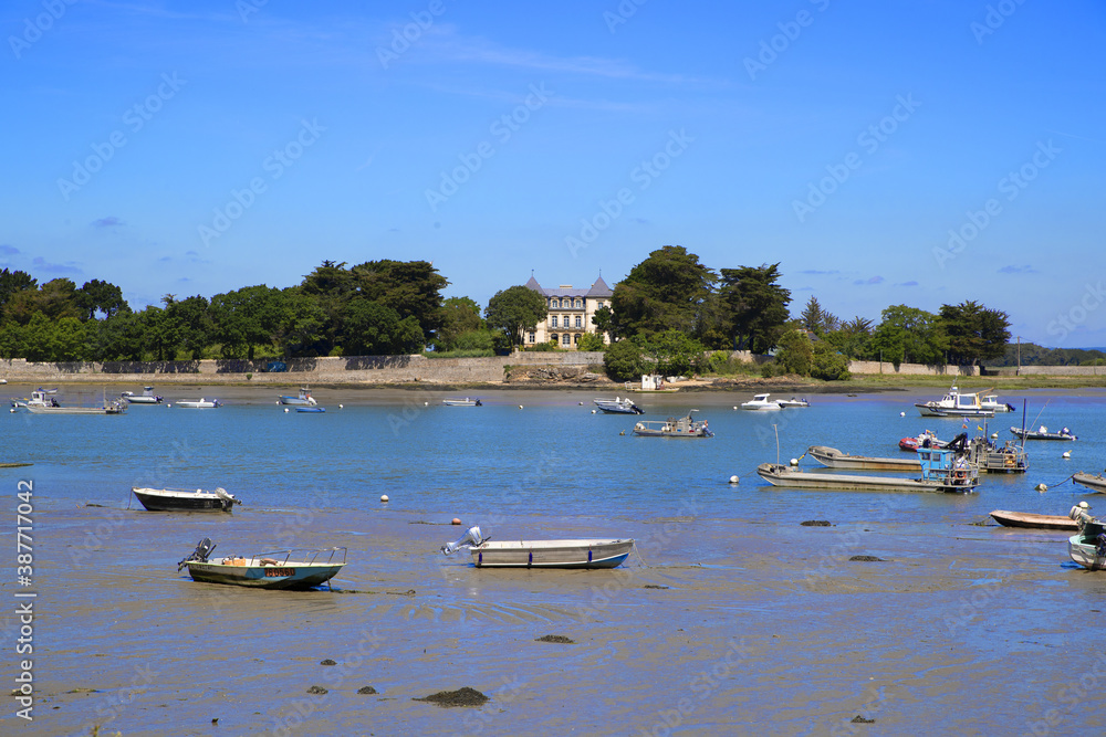 Obraz premium château et mer