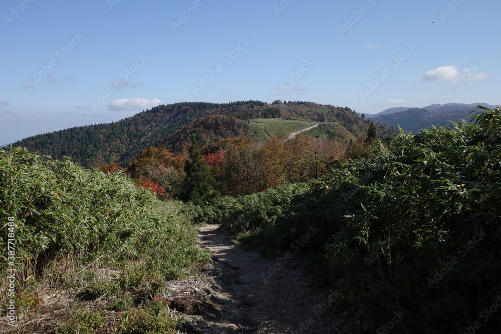 とても美しい日本の秋の山の景色