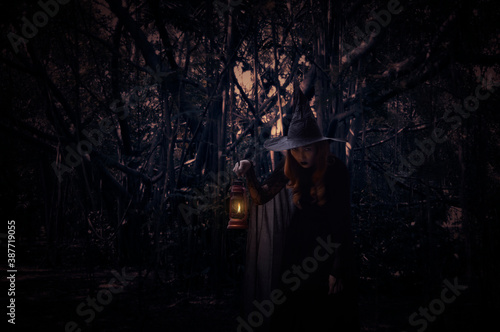 Halloween witch holding ancient lamp standing over spooky dark forest with tree  leaves and vine  Halloween mystery concept