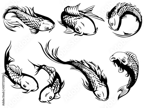 Silhouette japanese carp koi fish swimming illustration vector