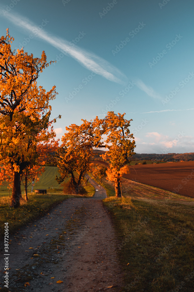 Fototapeta premium Wide countryside landscape view of beautiufl soft mornung light with colorful autumn trees in the nature. Morning of german fields. Harz National Park, Harz Mountains in Germany