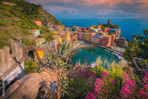 Vernazza panoramic view from the flowery garden, Cinque Terre, Italy