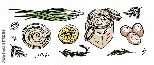 Mayonnaise sauce or yogurt or tar tare in bowl and glass jar. Mustard with onion, lemon, eggs and rosemary. Hand drawn vector illustration.