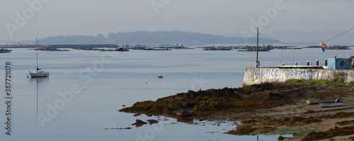 boats in the harbor photo