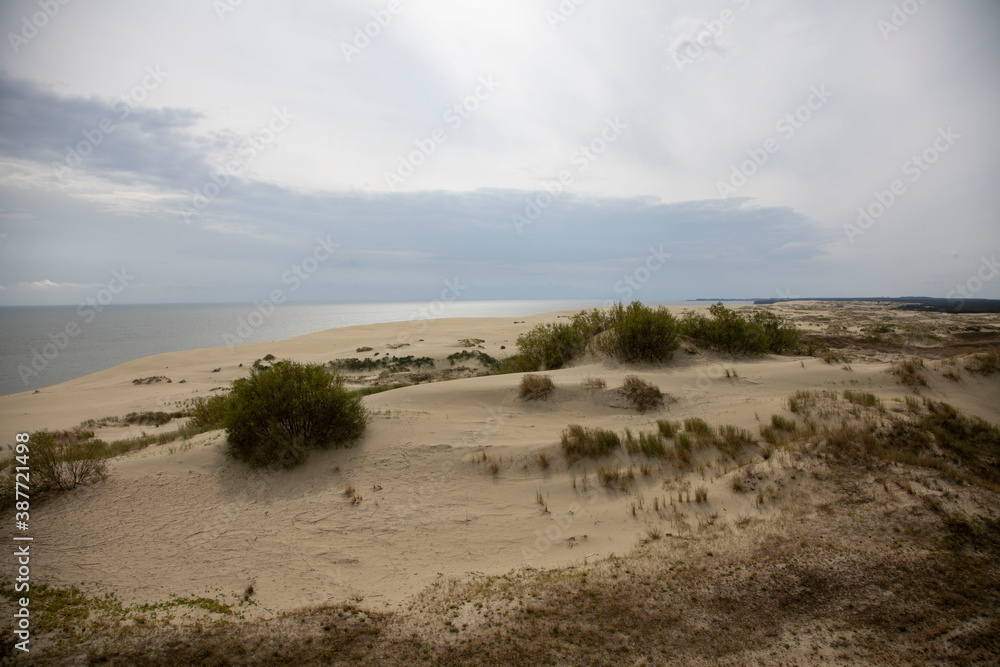 Dunes on the Curonian spit, Kaliningrad region