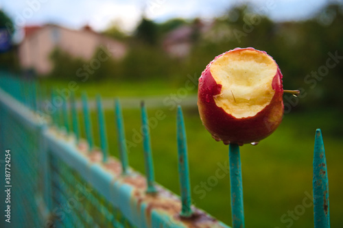 Ugryzione jabłko. © Rafal