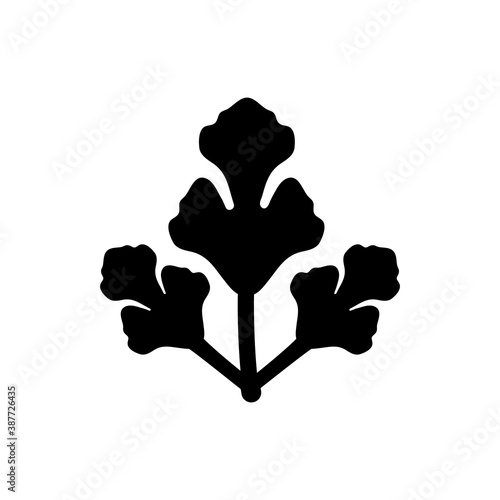 Parsley icon