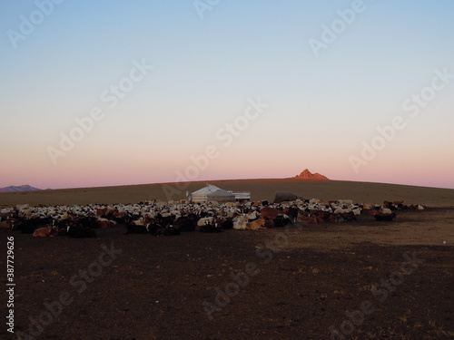 Gobi Desert  Qaraqorum  Mongol. Oct. 2015