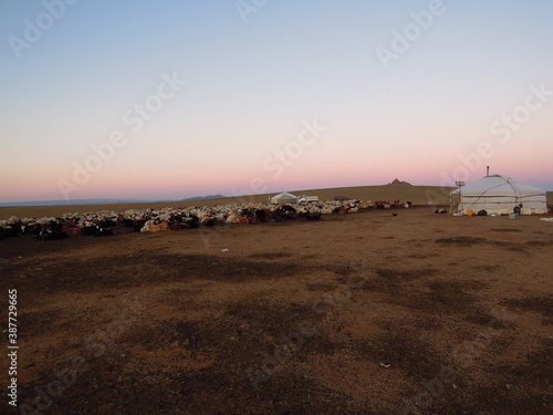 Gobi Desert, Qaraqorum, Mongol. Oct. 2015