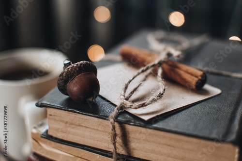 Scandinavian hygge styled Christmas composition. Cozy winter homely scene with books, cinnamon sticks and acorn. Santa Claus working place. Flatlay. Home decor.