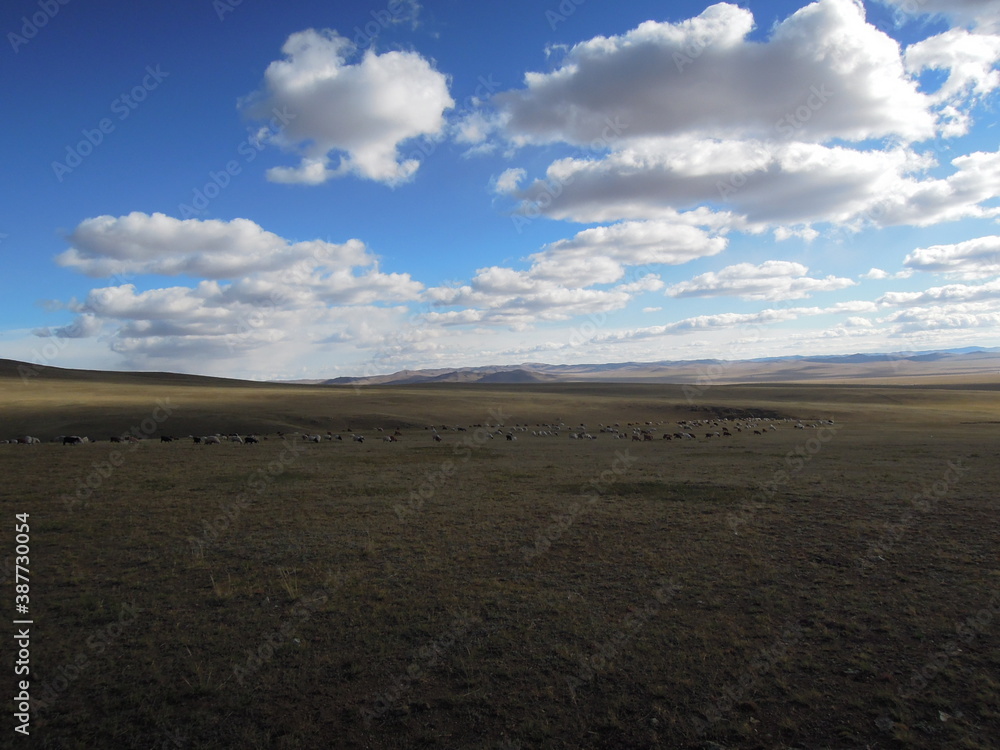 Gobi Desert, Qaraqorum, Mongol. Oct. 2015