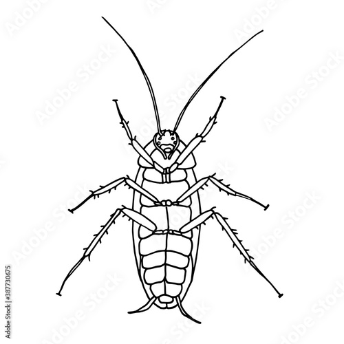 Cockroach pest, contour vector illustration of a cockroach lying belly up.