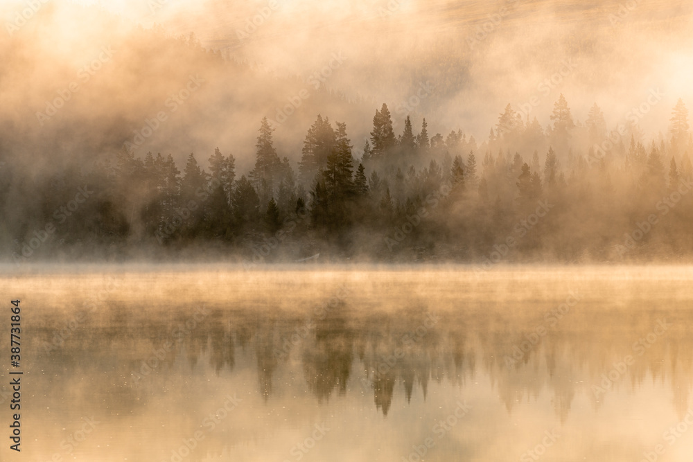 morning mist on the lake morning mist on the lake
