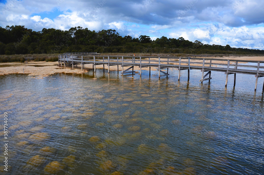 Thrombolites at Lake Clifton Western Australia