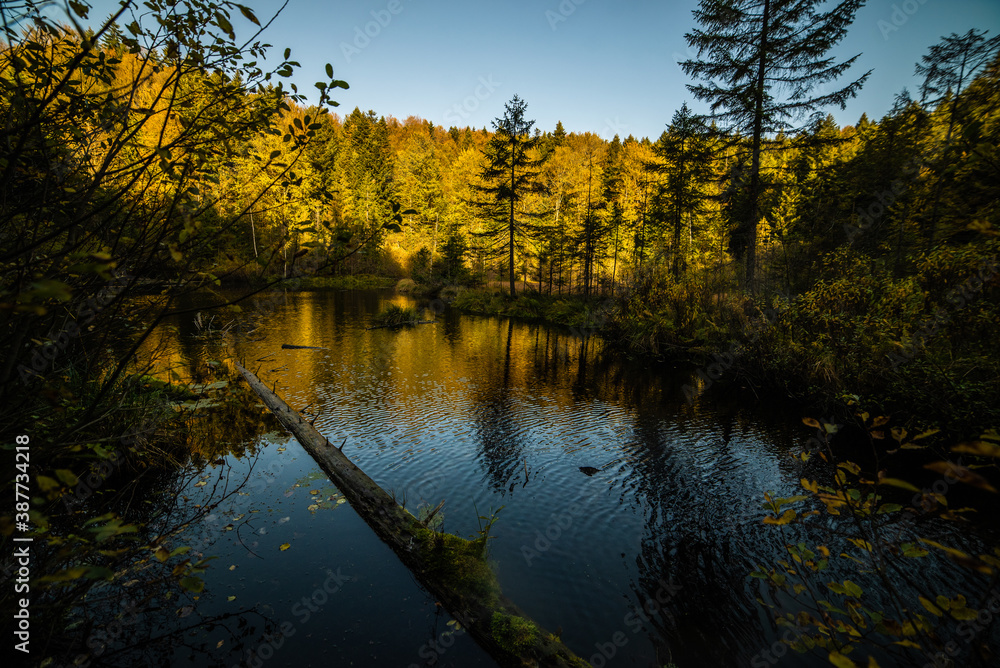 Calm mountain lake with mirror water