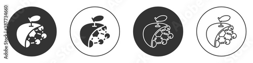 Black Biological structure icon isolated on white background. Genetically modified organism and food. Circle button. Vector.