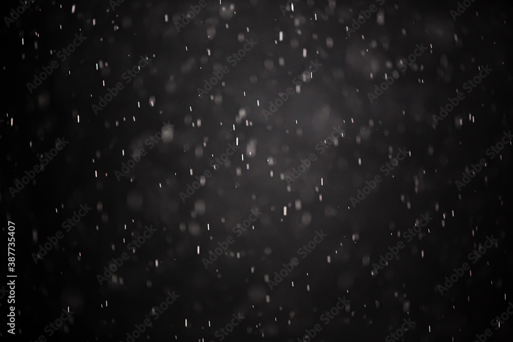 Fototapeta premium rain drops falling to the ground on a rainy day