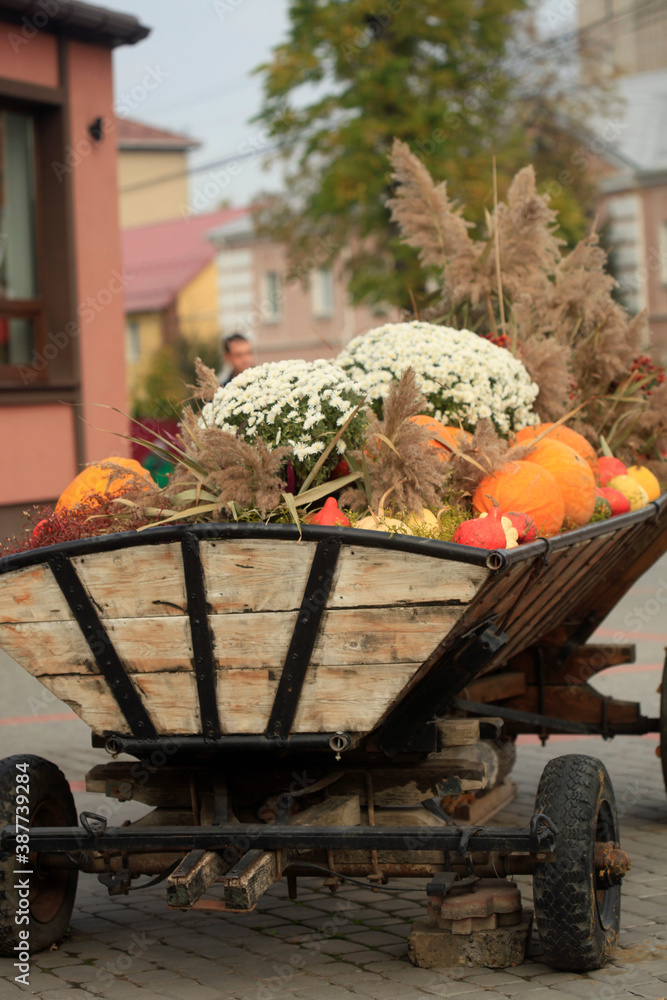 Orange autumn fruits on street background