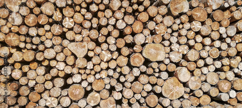 stack of wood - backgrounds of timbers 