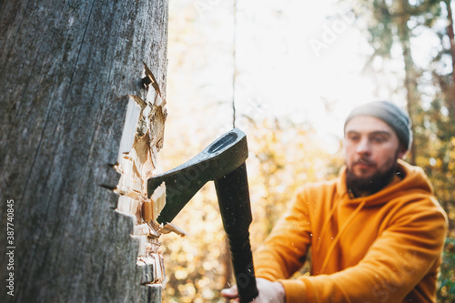 Strong logger worker cuts tree in forest. Ax close up, blurred lumberjack on background. Concept of wood industry and forestry.