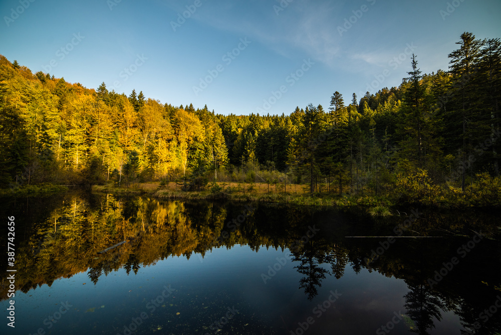 Pure calm lake in the mountains in a coniferous autumn forest