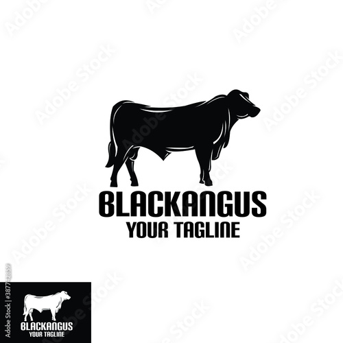 black angus bull logo, vector illustrations