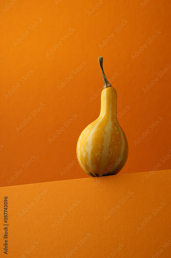 pumpkin on a wooden table - obrazy, fototapety, plakaty 
