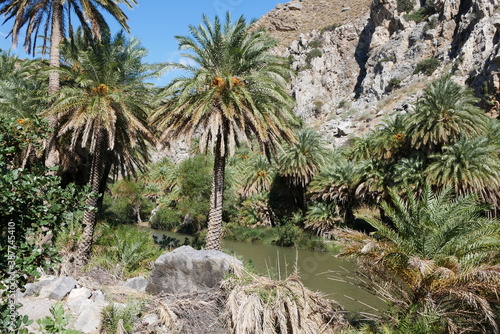 Palmen, Fluss und Felsen Paralia Preveli auf Kreta am Mittelmeer in Griechenland