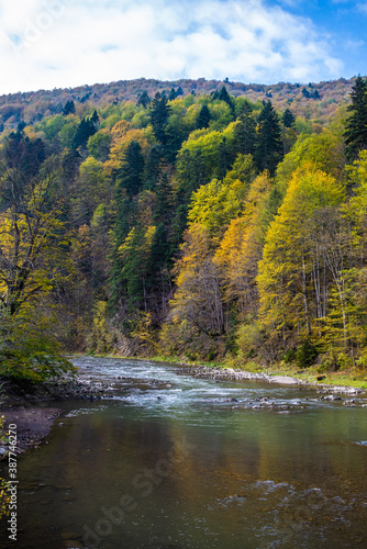 Fototapeta Naklejka Na Ścianę i Meble -  Mountain river in the national park