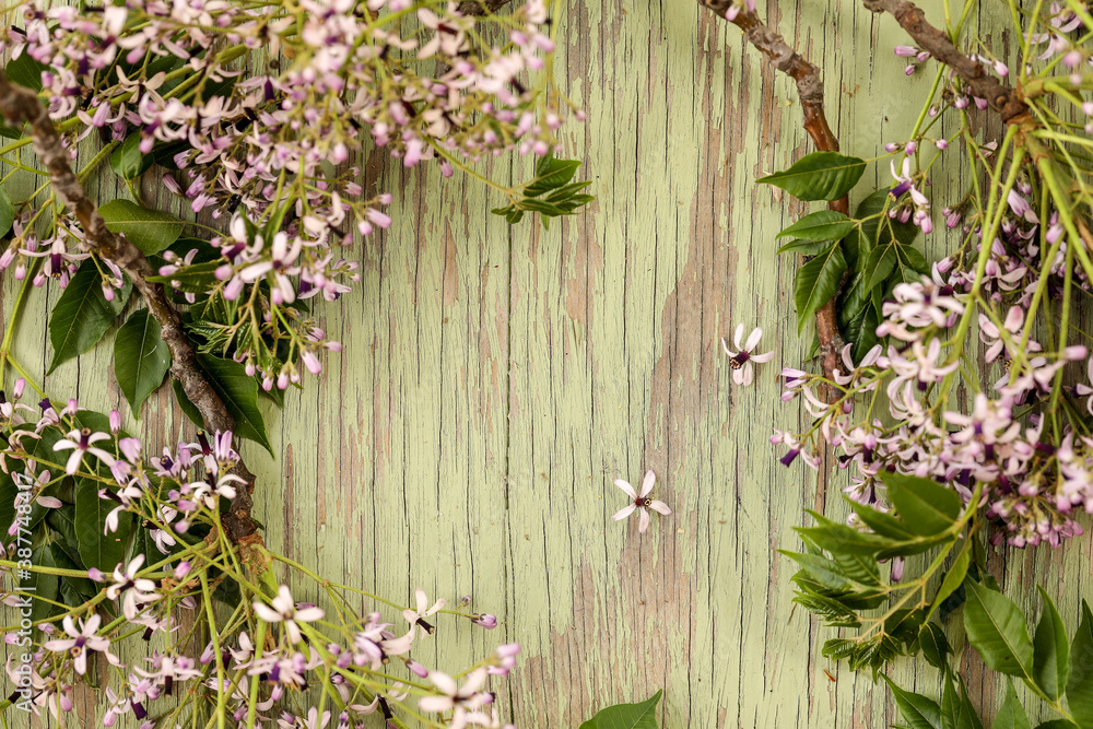 Flat lay image featuring border of pretty purple flowers on green painted wood with copy space