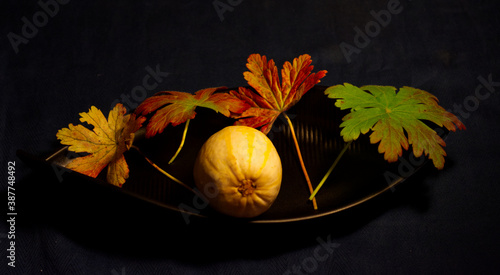 autumn still life