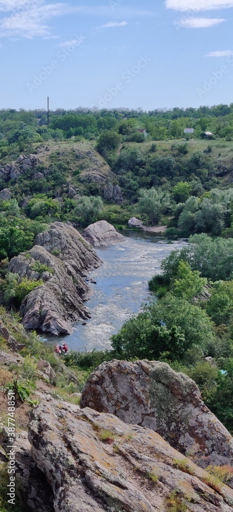 river in the forest