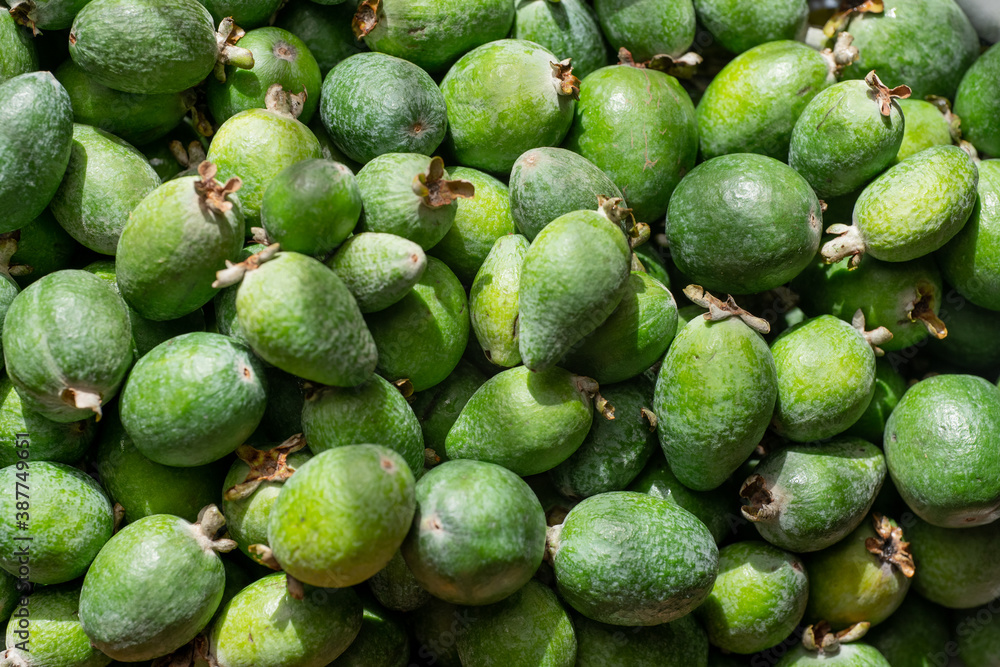 Feijoa as background or texture Feijoa as background or texture