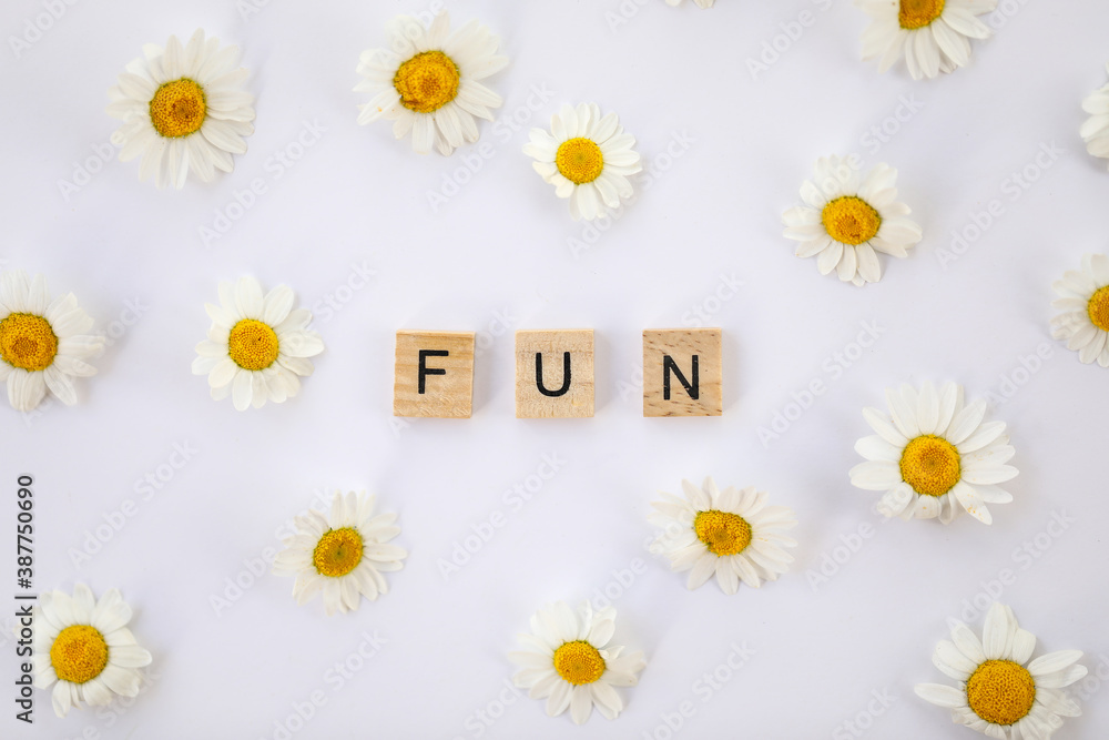 Flat lay image featuring the word fun in wooden letters on white background surrounded by chrysanthemum flowers 