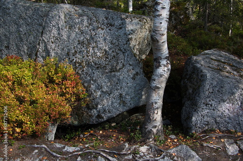 Boulders near Plesne Lake in Bohemian Forest,Prachatice District,South Bohemian Region,Czech republic,Europe 
