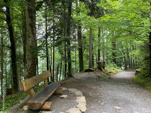 Trails for walking, hiking, sports and recreation along the waterfalls Giessbach Falls (Giessbachfälle oder Giessbachfaelle) and in the creek valley, Brienz - Canton of Bern, Switzerland / Schweiz photo