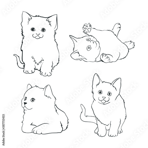 Cat doodle set collection - animal cute pet kitty drawing sketch domestic feline adorable friendly mammal fur love playful mascot vector illustration paw indoor cozy comfort relax