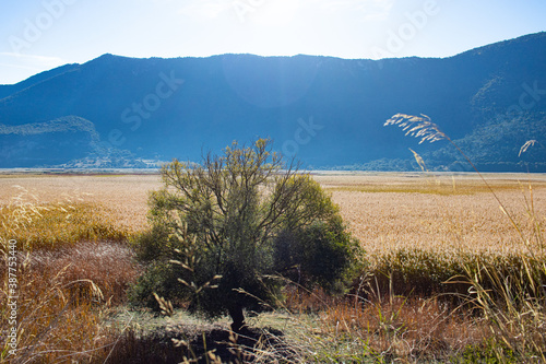 View of Lake Stimfalia in Peloponnese, Greece photo