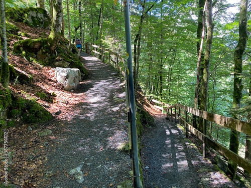 Trails for walking, hiking, sports and recreation along the waterfalls Giessbach Falls (Giessbachfälle oder Giessbachfaelle) and in the creek valley, Brienz - Canton of Bern, Switzerland / Schweiz photo