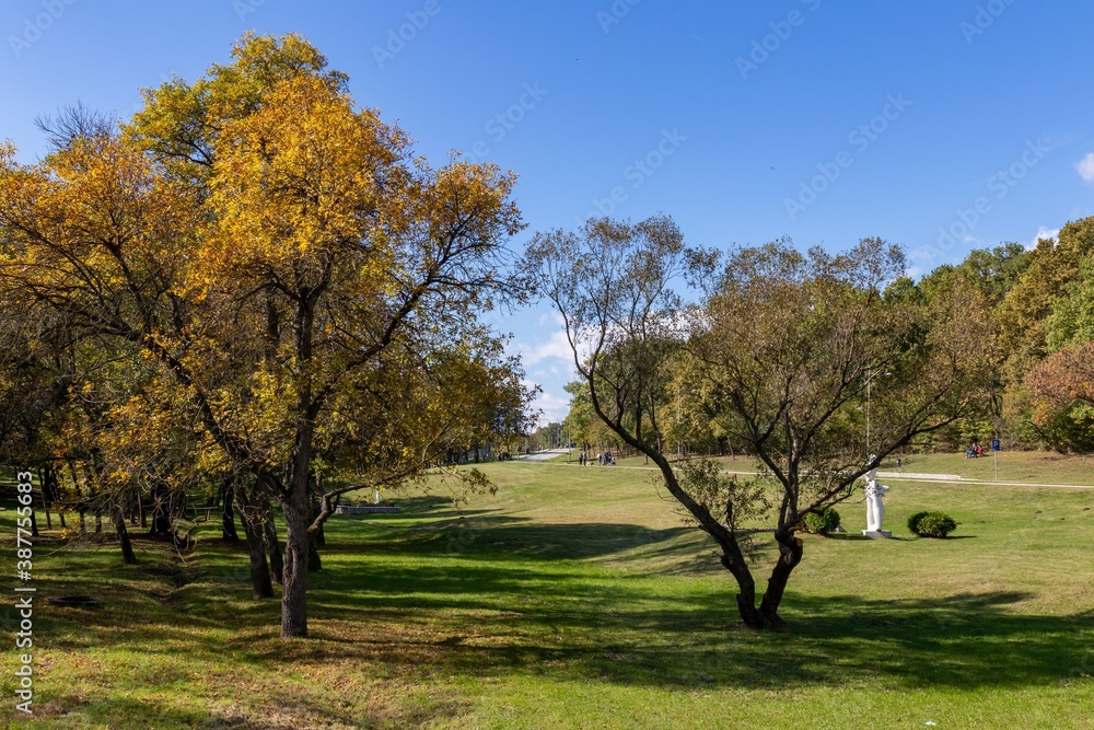 Autumn in the park, yellowing trees against the blue sky Autumn in the park, yellowing trees against the blue sky