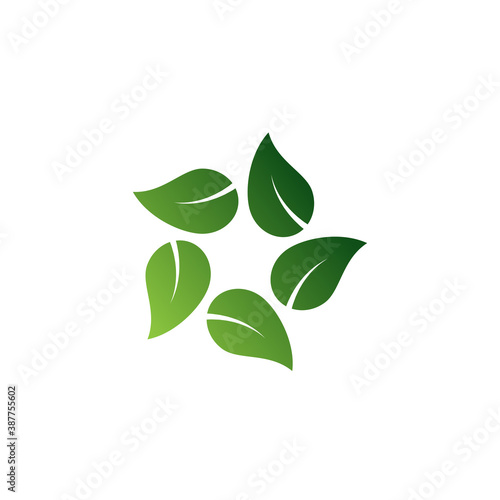 Leaf logo - green plant bio eco natural decoration organic vintage spa botanic outdoor leaves ornament herb tea herbal healthy food nutrition energy vegan