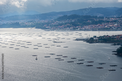 Farms of mussels (bateas) in the Ria de Vigo estuary, with the city of Vigo in the background. photo