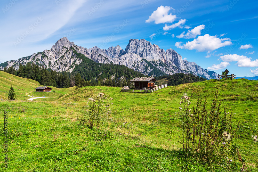 Fototapeta premium Blick auf die Litzlalm mit Hütte in Österreich