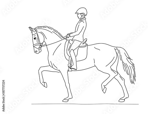 Female dressage rider is trotting on horse vector line art