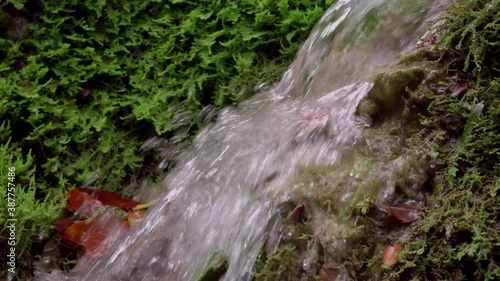 The unique beautiful Bigar waterfall full of green moss, Bozovici, Caras-Severin, Romania. 
