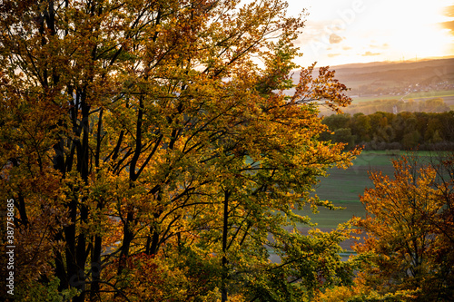 Herbstwald