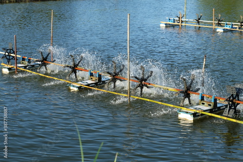 Aeration machine in the shrimp pond of farmers.
