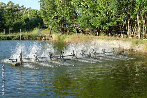 Aeration machine in the shrimp pond of farmers. 