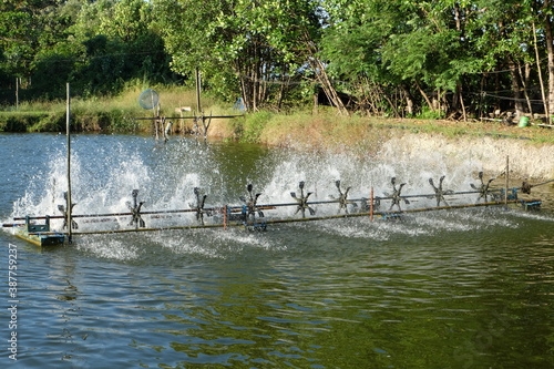 Aeration machine in the shrimp pond of farmers. 